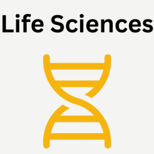 12 channel Micropipettes